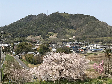 新年度がスタート